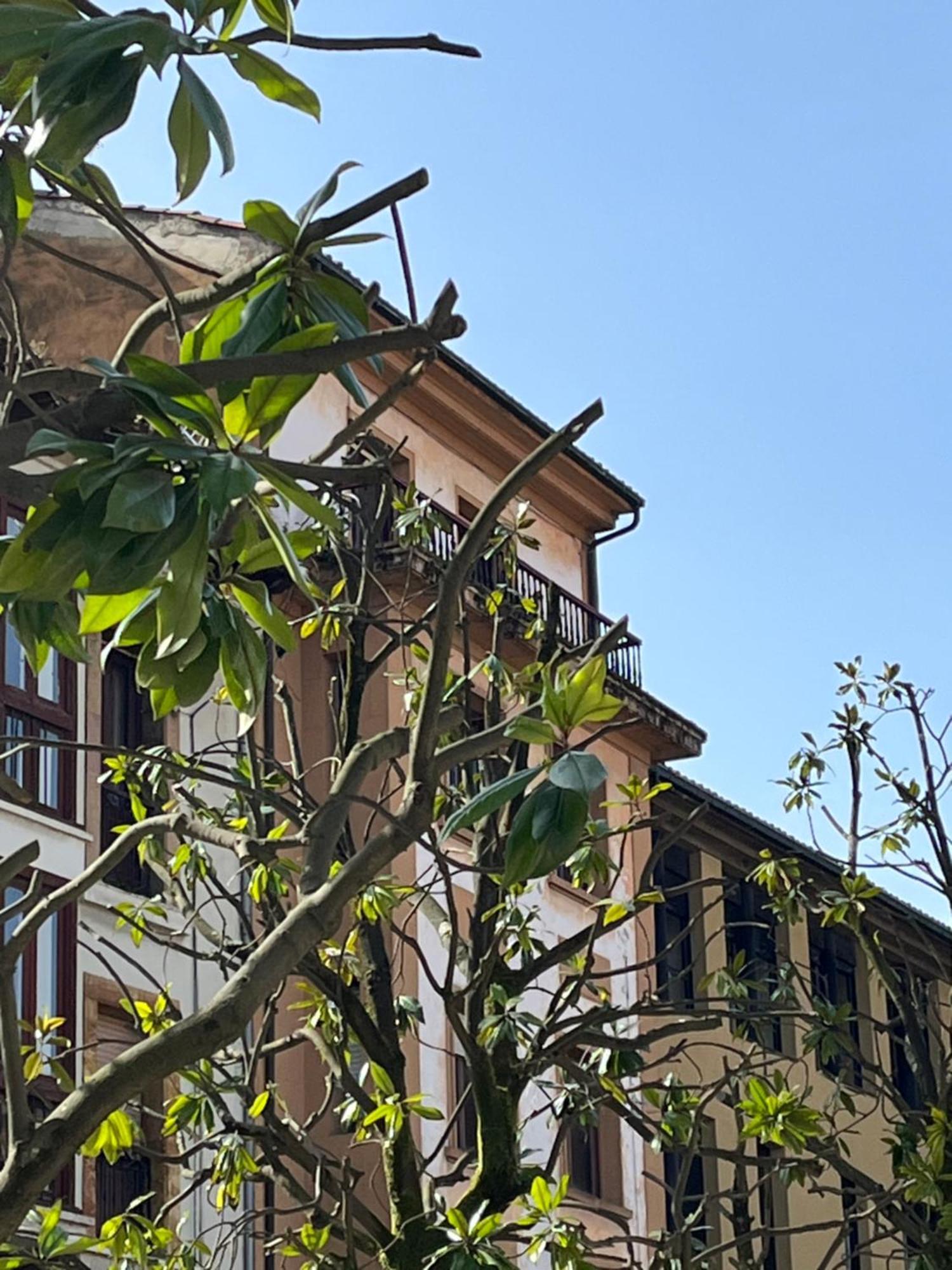 Apartamento Salsipuedes-La Catedral オビエド エクステリア 写真